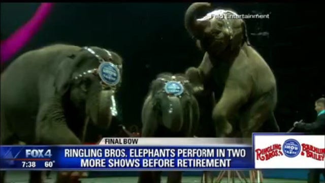 Elephants to perform for final time at Ringling Bros. circus