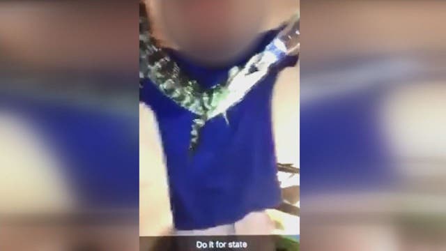 Snapchat video shows alcohol being forced down throats of alligators