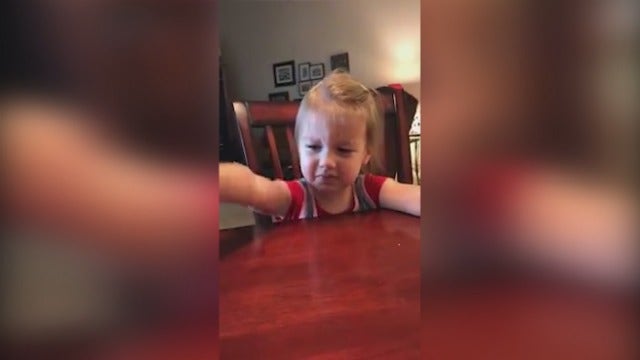 WATCH: Florida toddler really wanted a baby sister