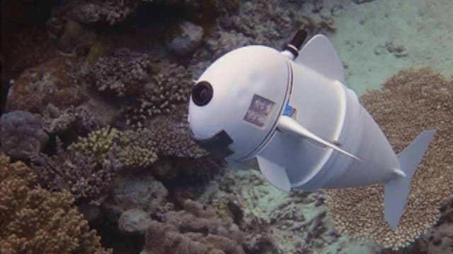 'Realistic' robot fish will give closer look to aquatic life, scientists say