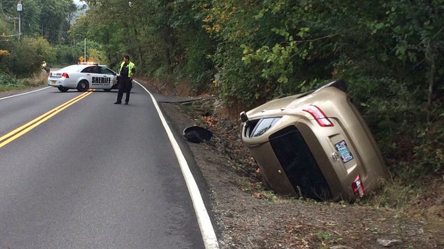Woman flips car when spider drops from rearview