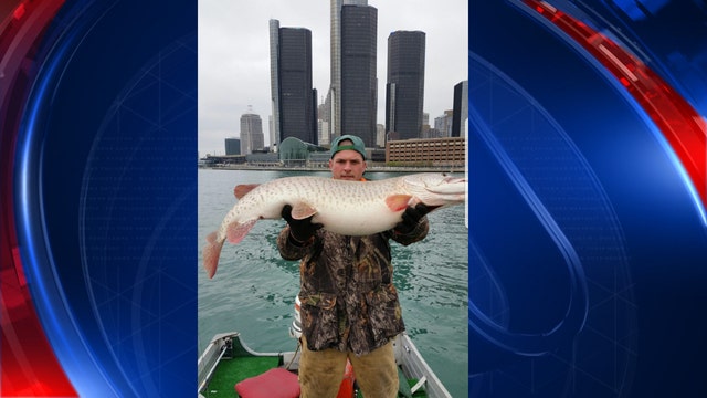 Huge fish caught in Detroit River near Renaissance Center