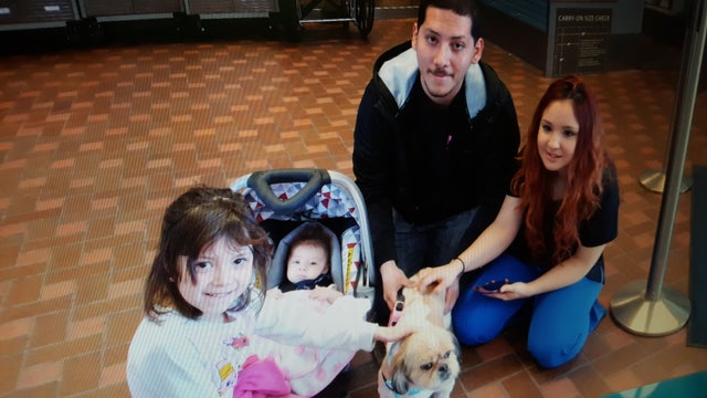 Dog stolen from New Mexico found in Georgia, rescue group helps reunite him with family