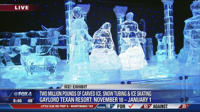 Gaylord Texans' ICE! exhibit opens Friday