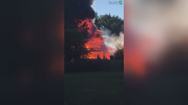 Man burns down garage while trying to use fireworks to remove bees' nest