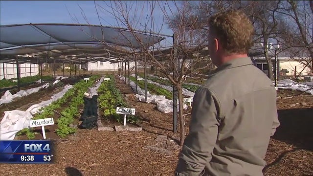 Lone Star Adventure: Bonton Farms