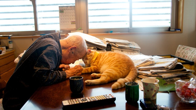 Moving photos show how a cat 'melted' the heart of her 'grumpy' grandpa diagnosed with Alzheimer's