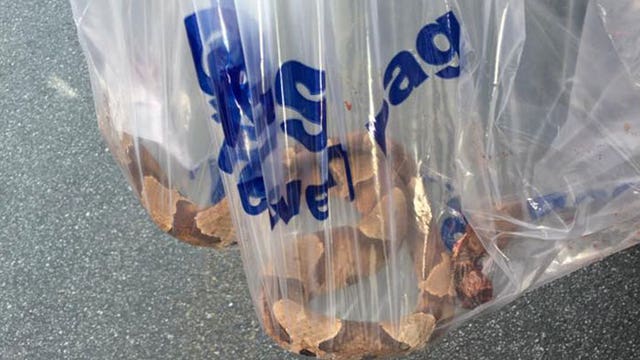 Copperhead snake bites customer at Lowe's in Lincoln County