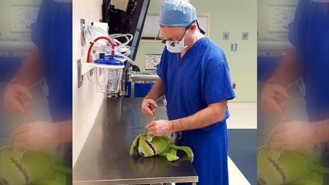 Doctor performs surgery on young patient's stuffed animal
