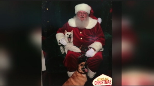 Precious pooch's meeting with Santa goes viral