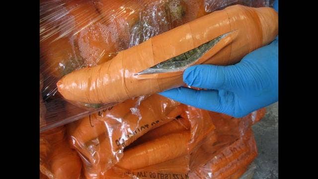 Agents confiscate shipment of marijuana disguised to look like carrots