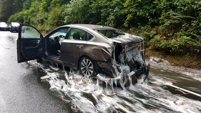 Crash leaves Oregon road covered with slime, eels
