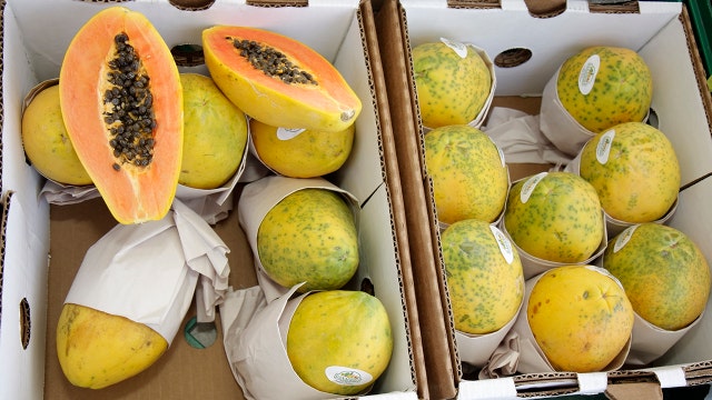 Salmonella outbreak in U.S. linked to ‘whole, fresh' papayas imported from Mexico