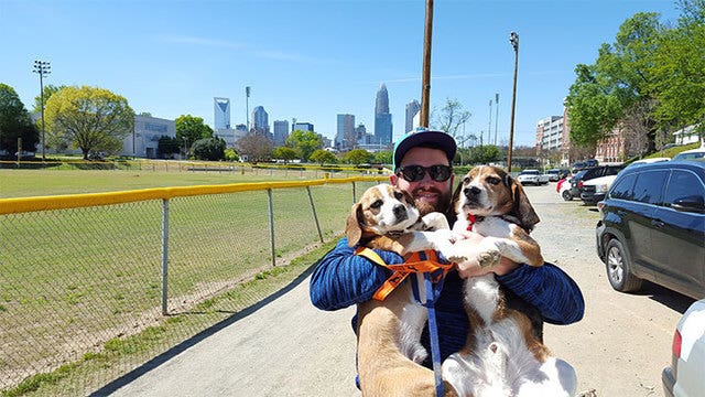 Study shows dogs don't like hugs