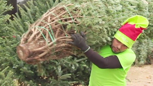 Christmas tree shortage will affect people all over the nation