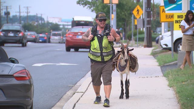 Man walking across country with goat to help raise money to build Kenyan orphanage