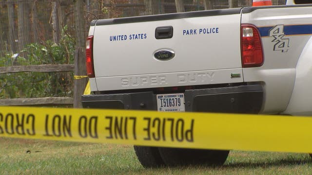 US Park Police officer shoots self in foot trying to fight off raccoon attack