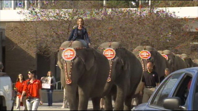Ringling circus elephants to retire in May