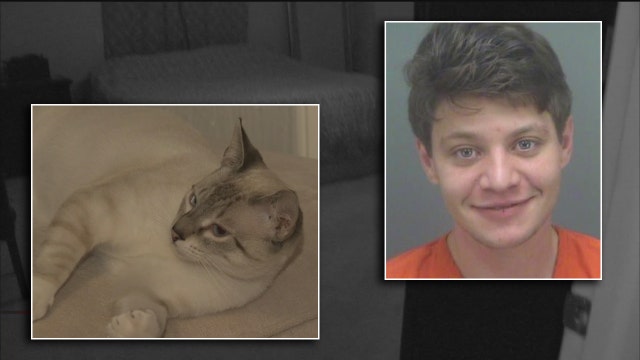 Police: Burglar wakes resident while petting her cat