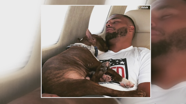Dak Prescott's dog banned from Frisco following attack