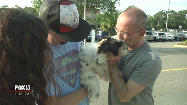 Dog rescued from Selmon Expy. reunited with owner