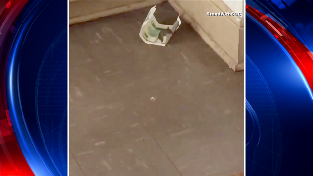 Video shows rodent inside South Oak Cliff HS classroom