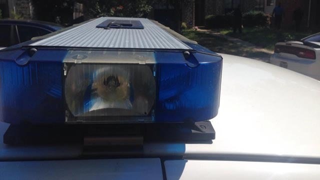 Irving police investigating morning shooting that left 1 dead, 1 injured