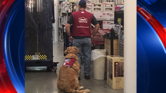 Texas Lowe's hires disabled vet and his service dog