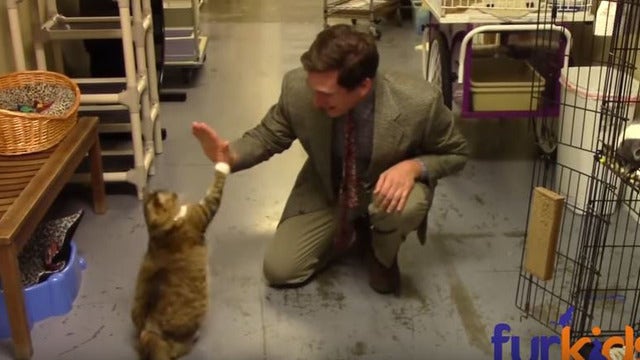 WATCH: Hilarious, very low-budget ad for animal shelter goes viral