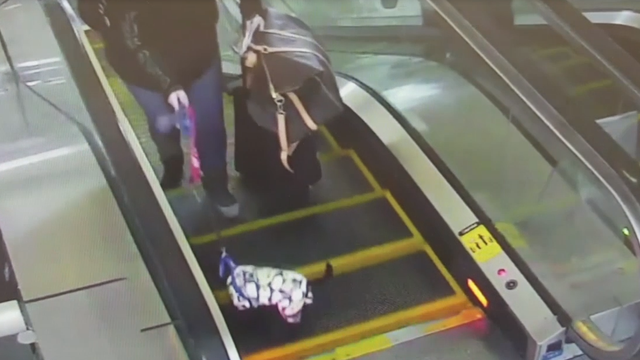 LAX officer saves pup caught in escalator