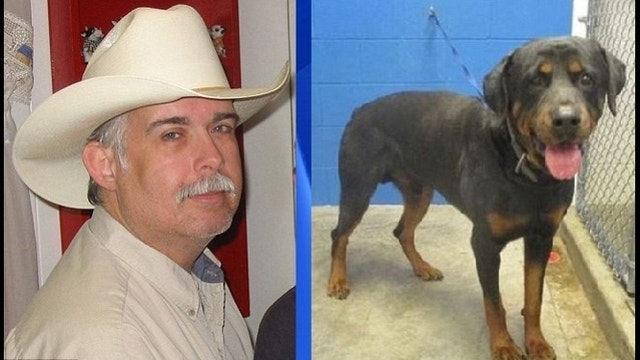 Tennessee man adopts Rottweiler, then gets mauled to death hours later