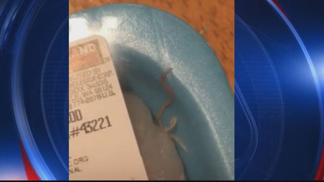Frederick woman buys packaged fish from Costco, finds live worm inside