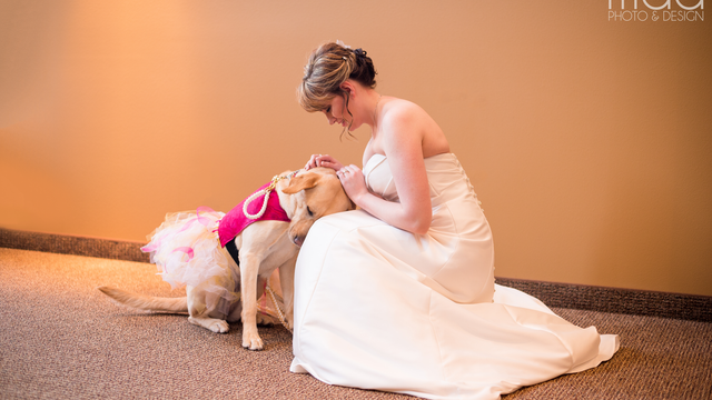 Photo captures the bond between bride and her service dog