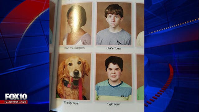 Louisiana school includes headshot of service dog next to student in yearbook