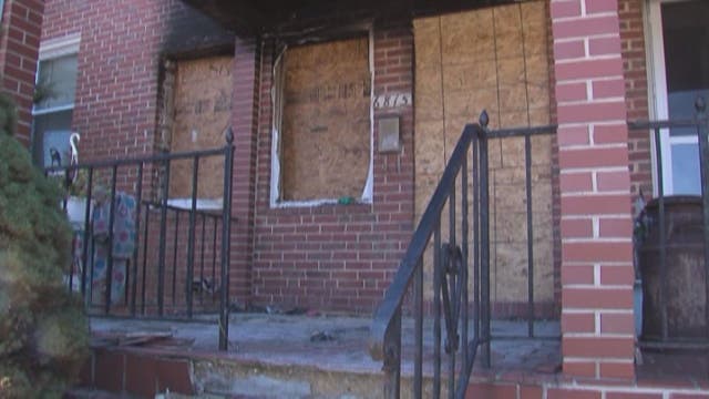 Family dog dies trying to protect baby in fire