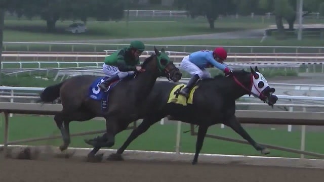 Another horse dies while training at Santa Anita; 30th death of the racing season