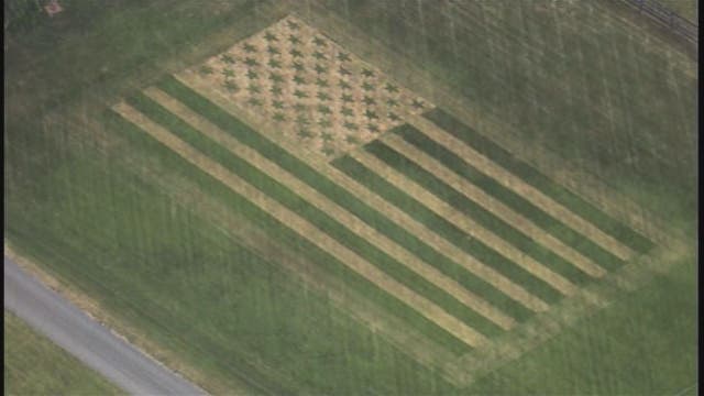 Virginia man shows off patriotism with American flag lawn