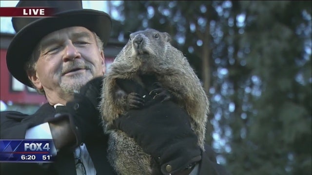 No shadow: Pennsylvania groundhog 'predicts' early spring