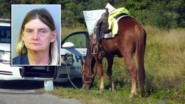Florida woman arrested for DUI while riding a horse