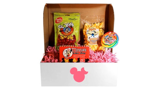 Subscription box sends snacks from Disney World each month