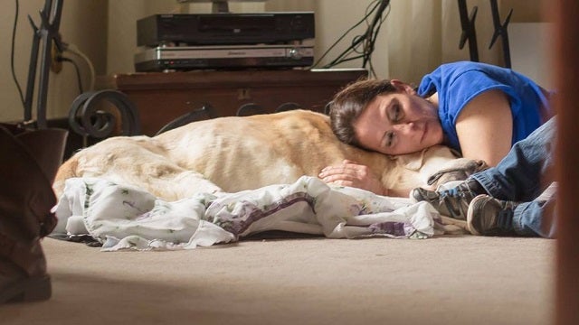 Heartbreaking photos take you through a dog's last day on earth