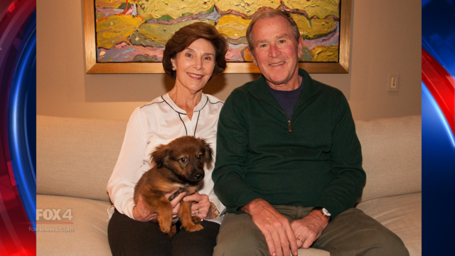 Meet George W. Bush's newest family member