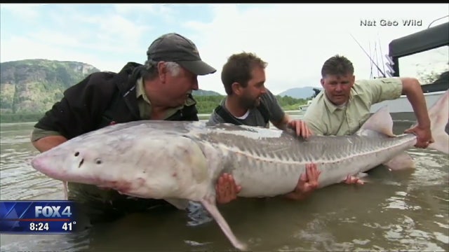 'Monster Fish' host speaks at Perot Museum
