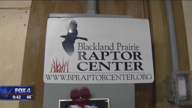Lone Star Adventure: Blackland Prairie Raptor Center