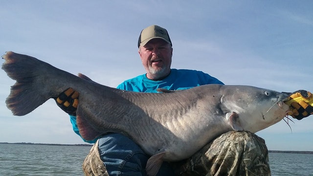 Fisherman catches monster catfish on Lake Tawakoni