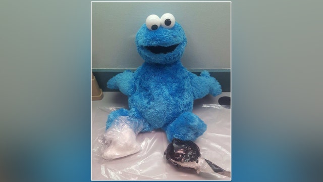 Cocaine found inside Cookie Monster doll