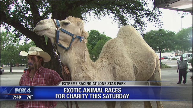 Extreme Racing at Lone Star Park