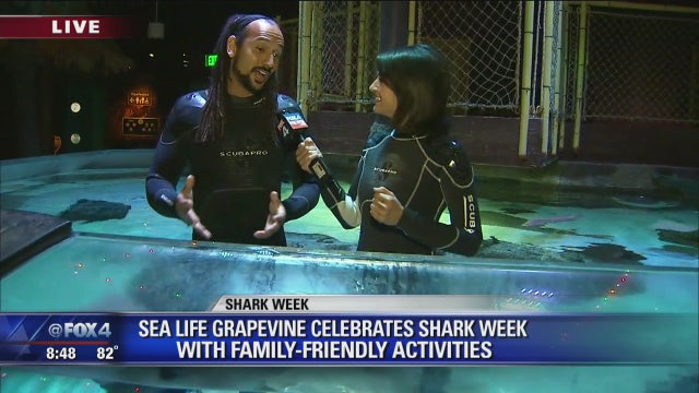 It's Shark Week at Grapevine's Sea Life Aquarium