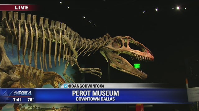 Ultimate Dinosaurs exhibit opens at Perot Museum