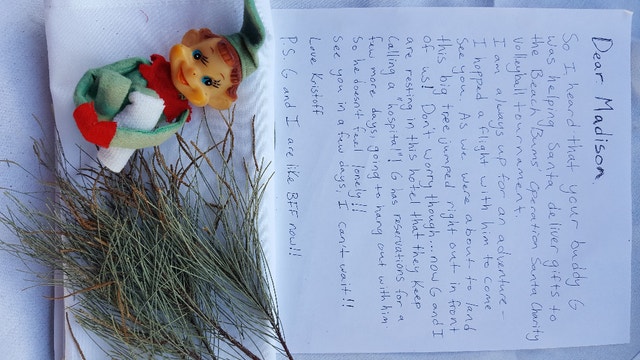 Santa skydiver crashes at Gulfport volleyball tournament